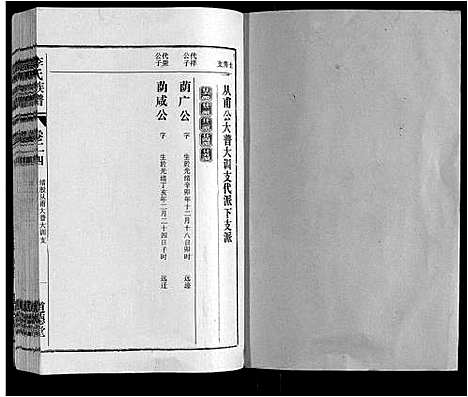 [李]李氏族谱_70卷首1卷末1卷 (安徽) 李氏家谱_十九.pdf