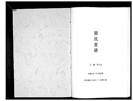 [梁]梁氏家谱_不分卷 (安徽) 梁氏家谱.pdf