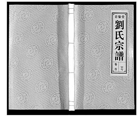 [刘]刘氏宗谱_10卷 (安徽) 刘氏家谱_一.pdf