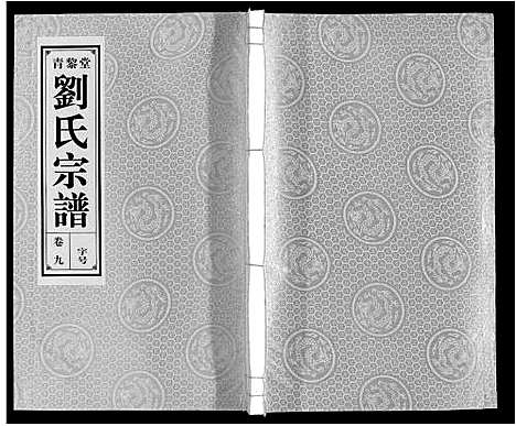 [刘]刘氏宗谱_10卷 (安徽) 刘氏家谱_九.pdf