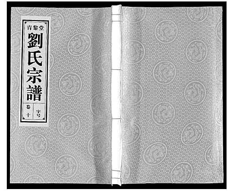 [刘]刘氏宗谱_10卷 (安徽) 刘氏家谱_十.pdf