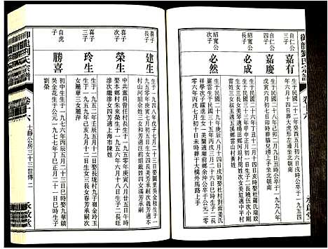 [刘]御龙刘氏宗谱 (安徽) 御龙刘氏家谱_二十八.pdf