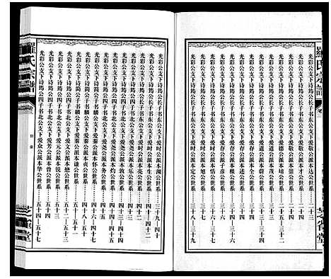 [罗]罗氏宗谱 (安徽) 罗氏家谱_四.pdf