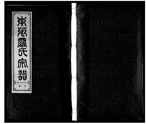 [罗]罗氏宗谱 (安徽) 罗氏家谱_十一.pdf