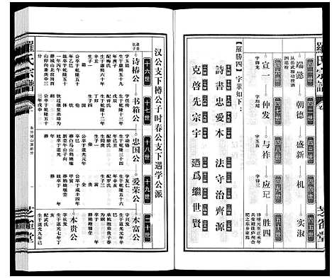 [罗]罗氏宗谱 (安徽) 罗氏家谱_十一.pdf