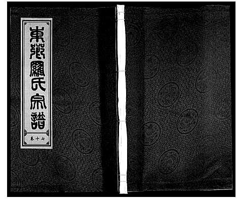 [罗]罗氏宗谱 (安徽) 罗氏家谱_十八.pdf