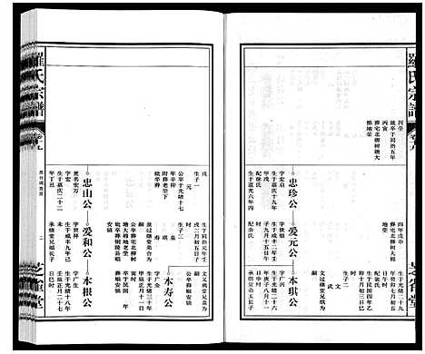 [罗]罗氏宗谱 (安徽) 罗氏家谱_二十.pdf