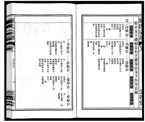 [罗]罗氏宗谱 (安徽) 罗氏家谱_二十.pdf