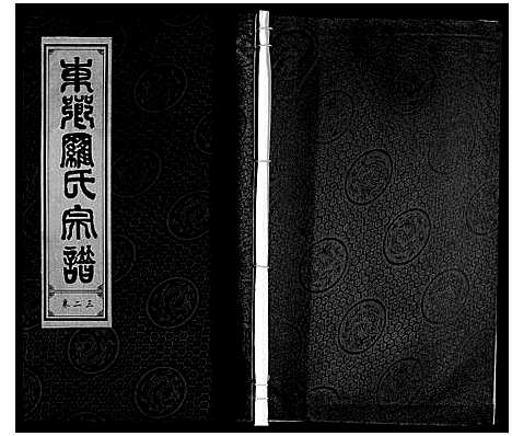 [罗]罗氏宗谱 (安徽) 罗氏家谱_二十四.pdf