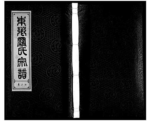 [罗]罗氏宗谱 (安徽) 罗氏家谱_二十八.pdf