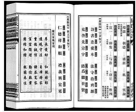 [罗]罗氏宗谱 (安徽) 罗氏家谱_三十.pdf