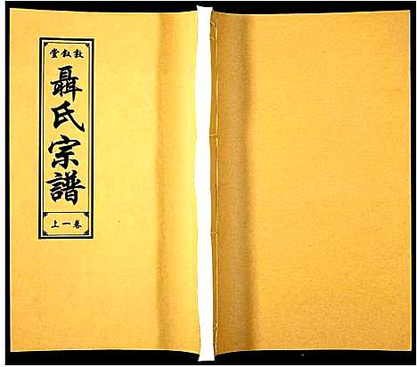 [聂]聂氏宗谱 (安徽) 聂氏家谱_一.pdf