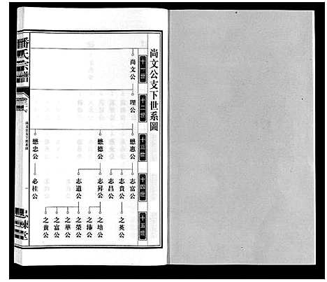 [潘]潘氏宗谱 (安徽) 潘氏家谱_十三.pdf