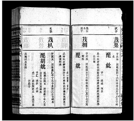 [齐]齐氏宗谱_21卷-齐氏宗谱 (安徽) 齐氏家谱_十五.pdf