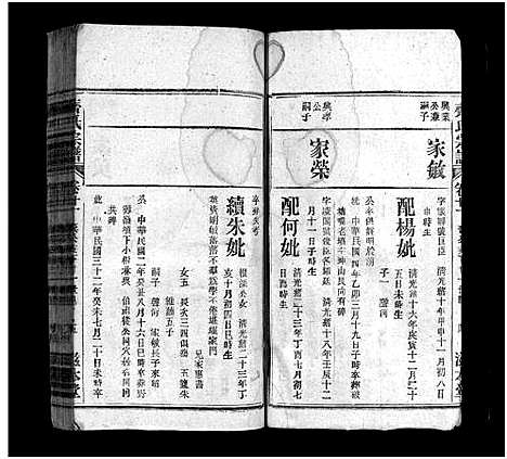 [齐]齐氏宗谱_21卷-齐氏宗谱 (安徽) 齐氏家谱_十九.pdf