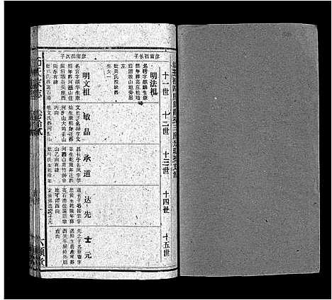 [石]石氏家志_40卷首1卷 (安徽) 石氏家志 _十三.pdf