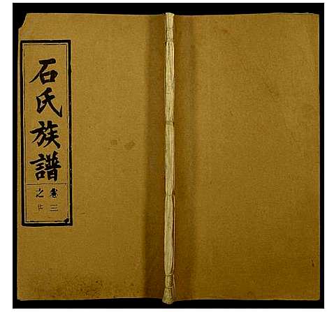 [石]石氏族谱 (安徽) 石氏家谱_十四.pdf