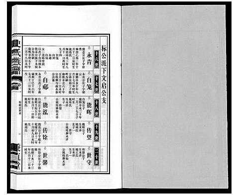 [史]史氏族谱 (安徽) 史氏家谱_十三.pdf