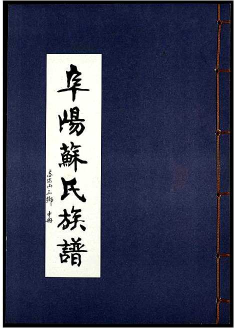 [苏]阜阳苏氏族谱_续卷 (安徽) 阜阳苏氏家谱_十一.pdf