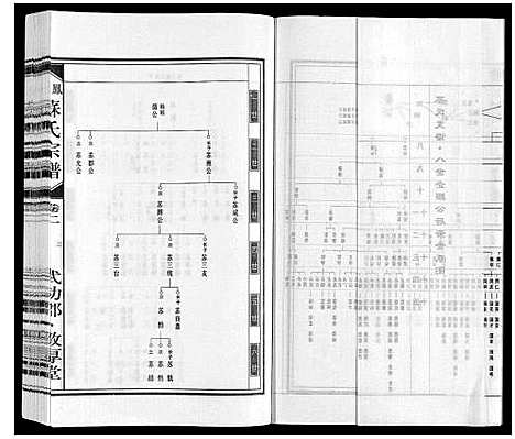 [苏]凤台苏氏宗谱 (安徽) 凤台苏氏家谱_二.pdf