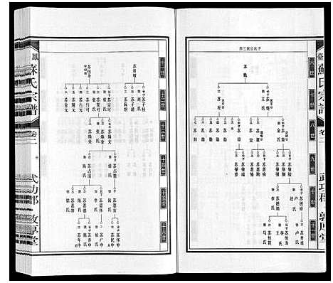 [苏]凤台苏氏宗谱 (安徽) 凤台苏氏家谱_二.pdf