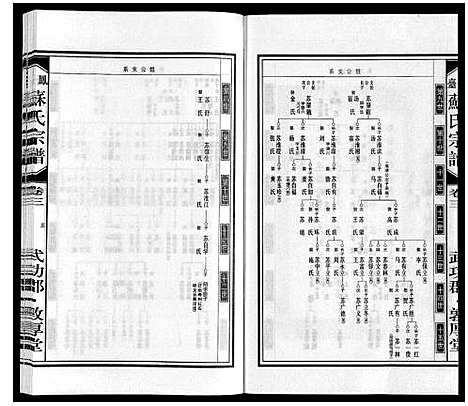 [苏]凤台苏氏宗谱 (安徽) 凤台苏氏家谱_三.pdf