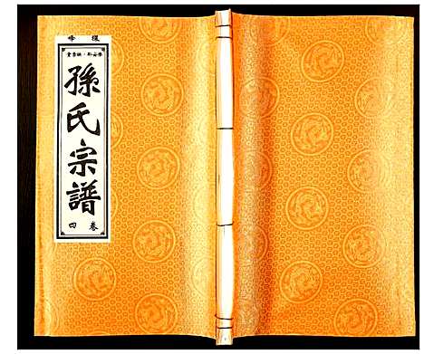 [孙]孙氏宗谱 (安徽) 孙氏家谱_四.pdf