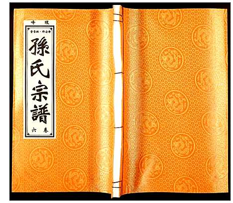 [孙]孙氏宗谱 (安徽) 孙氏家谱_六.pdf