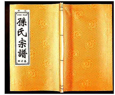 [孙]孙氏宗谱 (安徽) 孙氏家谱_十四.pdf