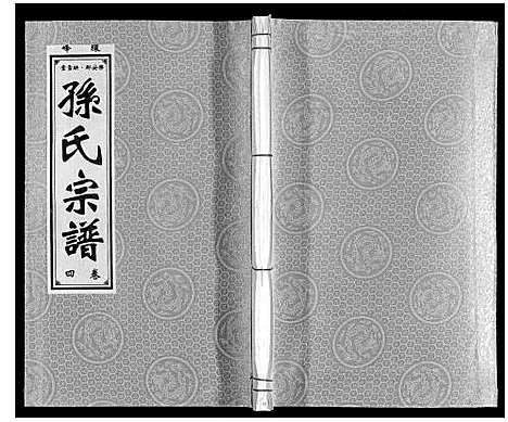 [孙]孙氏宗谱 (安徽) 孙氏家谱_四.pdf