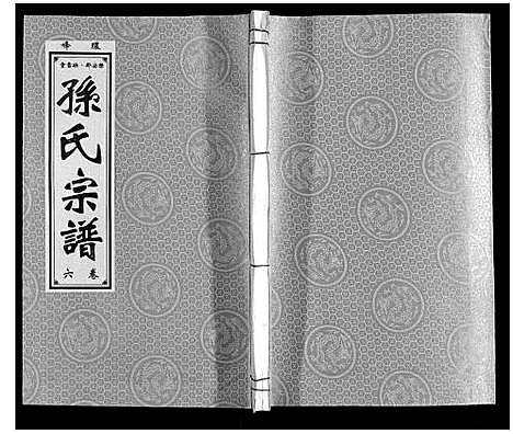 [孙]孙氏宗谱 (安徽) 孙氏家谱_六.pdf