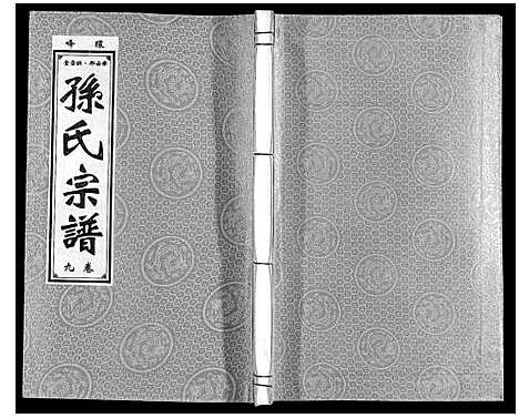 [孙]孙氏宗谱 (安徽) 孙氏家谱_九.pdf