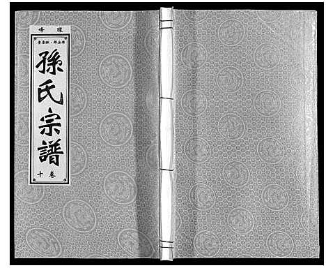 [孙]孙氏宗谱 (安徽) 孙氏家谱_十.pdf