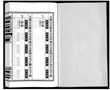 [孙]孙氏宗谱 (安徽) 孙氏家谱_十五.pdf