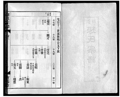 [孙]孙氏宗谱 (安徽) 孙氏家谱_三.pdf