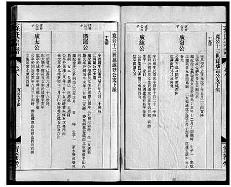 [孙]孙氏宗谱 (安徽) 孙氏家谱_九.pdf