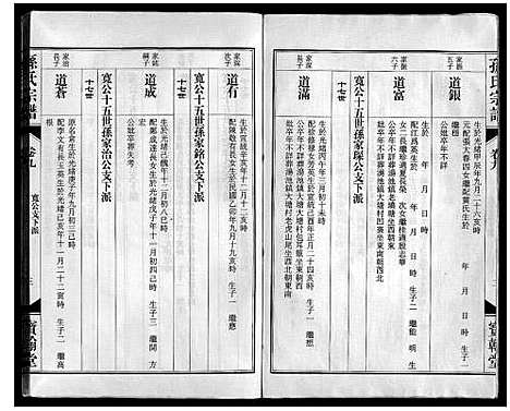 [孙]孙氏宗谱 (安徽) 孙氏家谱_十.pdf