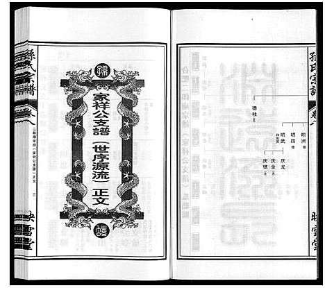 [孙]孙氏宗谱_10卷 (安徽) 孙氏家谱_八.pdf