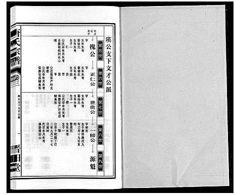 [唐]唐氏宗谱 (安徽) 唐氏家谱_三.pdf