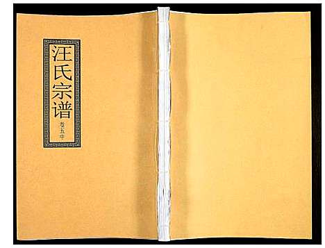 [汪]汪氏宗谱 (安徽) 汪氏家谱_十一.pdf