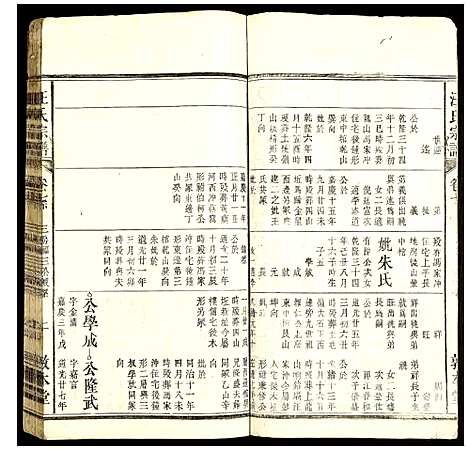 [汪]汪氏宗谱 (安徽) 汪氏家谱_八.pdf