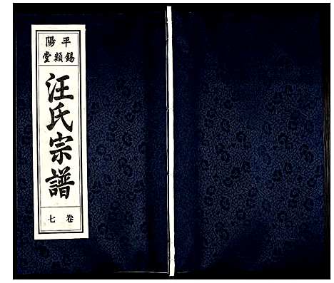 [汪]汪氏宗谱 (安徽) 汪氏家谱_九.pdf