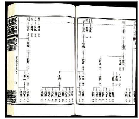 [汪]汪氏宗谱 (安徽) 汪氏家谱_十三.pdf