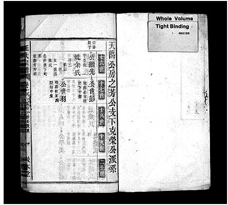 [汪]汪氏宗谱_42卷_含首末各1卷 (安徽) 汪氏家谱_九.pdf