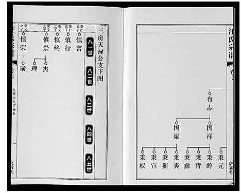 [汪]汪氏宗谱_11卷首1卷 (安徽) 汪氏家谱_八.pdf