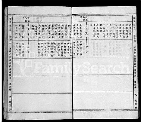 [汪]汪氏家史_14卷首末各1卷-宿松县汪氏家史 (安徽) 汪氏家史 _十一.pdf