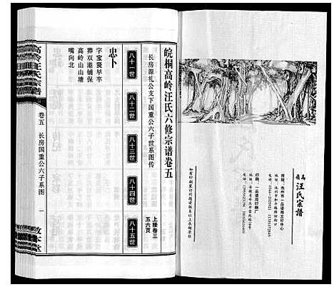 [汪]高岭汪氏宗谱 (安徽) 高岭汪氏家谱_五.pdf