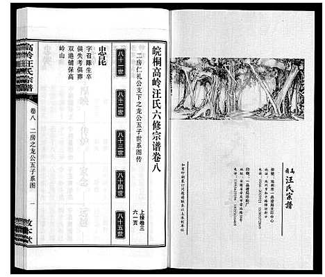 [汪]高岭汪氏宗谱 (安徽) 高岭汪氏家谱_八.pdf