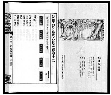 [汪]高岭汪氏宗谱 (安徽) 高岭汪氏家谱_十二.pdf