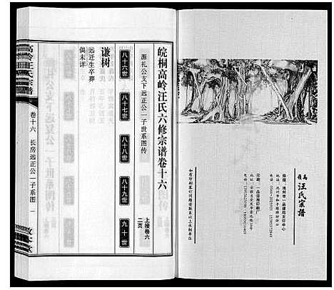 [汪]高岭汪氏宗谱 (安徽) 高岭汪氏家谱_十六.pdf